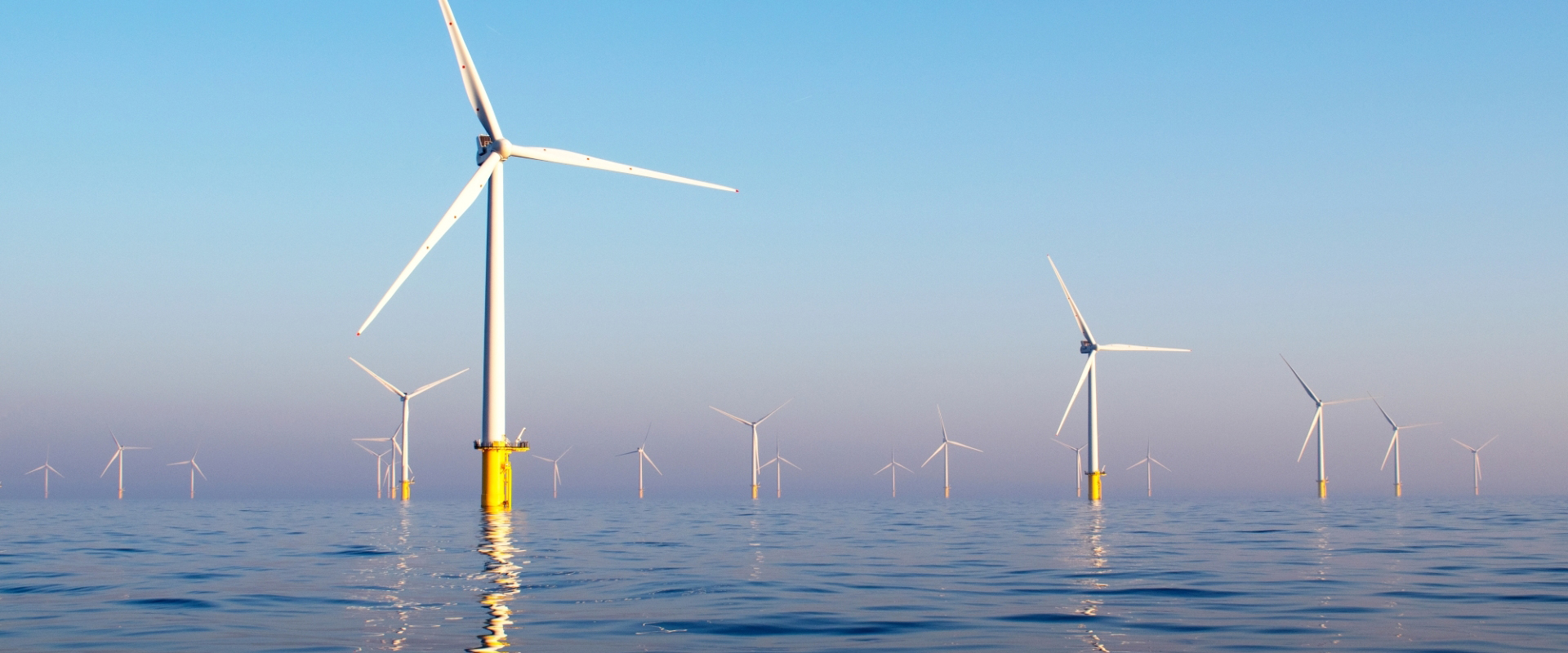 Photograph of sunrise over windfarm in the ocean